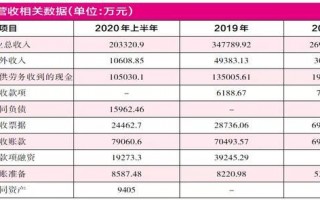 公司财务数据分析，公司财务数据分析报告